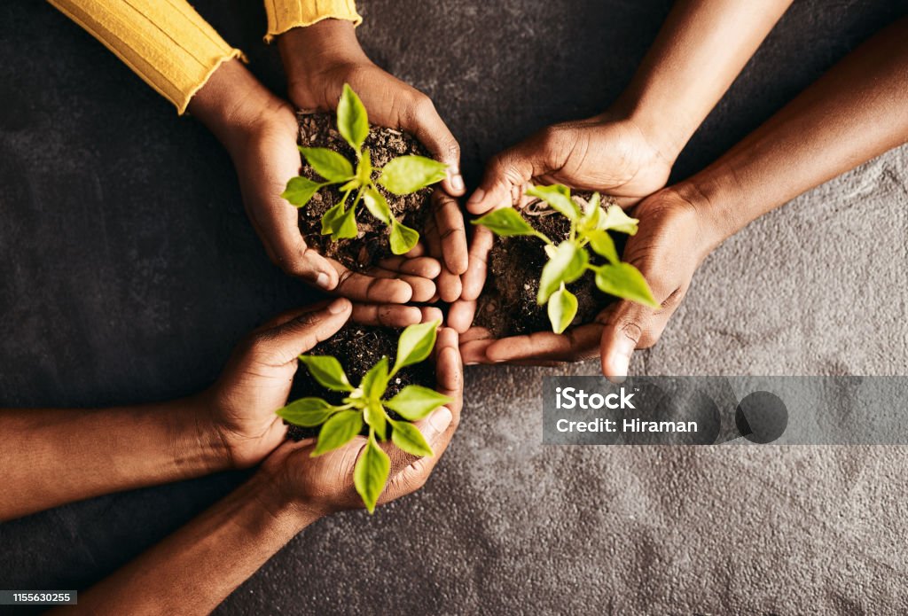 Shot of a group of people holding plants growing out of soil